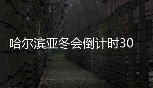 哈尔滨亚冬会倒计时30天:冰雪同梦亚洲共期待