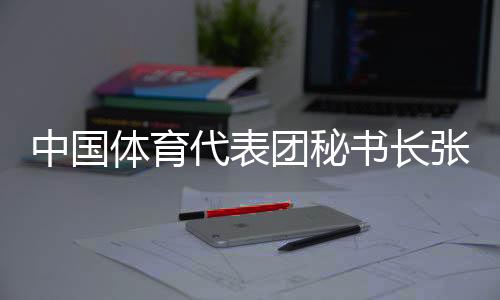 中国体育代表团秘书长张新总结半程表现:捍卫、挑战、突破
