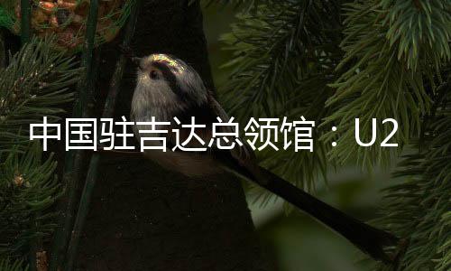 中国驻吉达总领馆:U23亚洲杯决赛“中国人免票”为不实信息