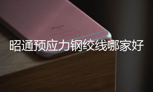 天津试片热固成型硫化机