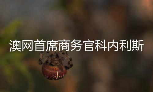 澳网首席商务官科内利斯:愿不断深化与中国的联系