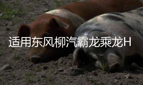 适用东风柳汽霸龙乘龙H7H5M3大灯总成全led前大灯重卡配件日行灯