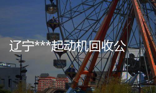 伟晴大健康呼吸机多少钱一台