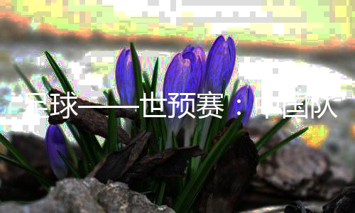 足球——世预赛:中国队举行新闻发布会并进行赛前训练