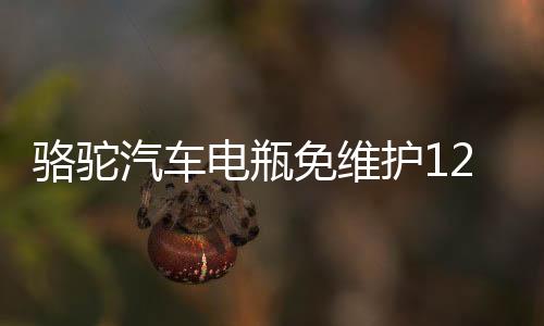 骆驼汽车电瓶免维护12V45AH 46B24R适配五菱宏光吉利金刚夏利森雅